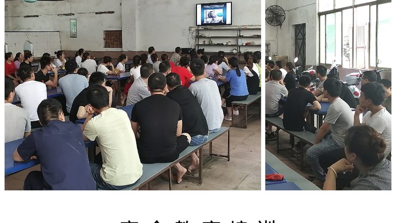 教师资格证培训协议班与普通班：如何选择更划算的学习方案**